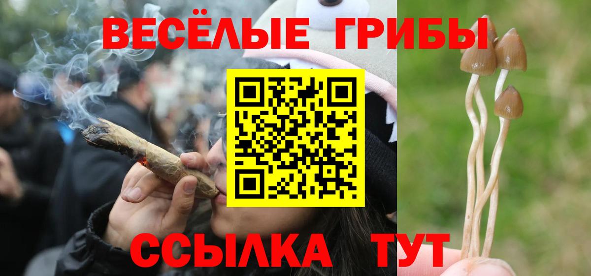 Псилоцибиновые грибы мухоморы Кингисепп