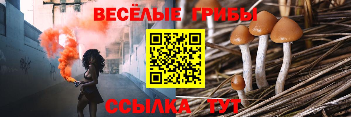 Галлюциногенные грибы GOLDEN TEACHER  Галлюциногенные грибы Psilocybine cubensis  Вход с VPN  Кингисепп 